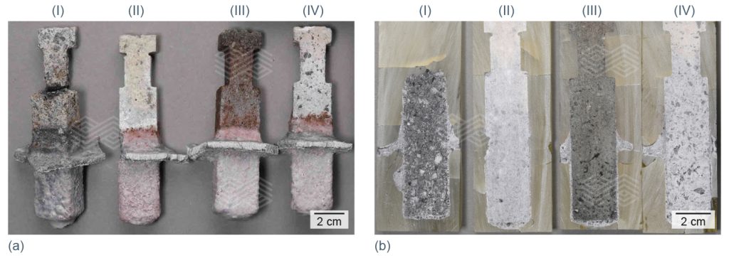 Bulletin 2025 06 Capo Tous Fig 09 251003