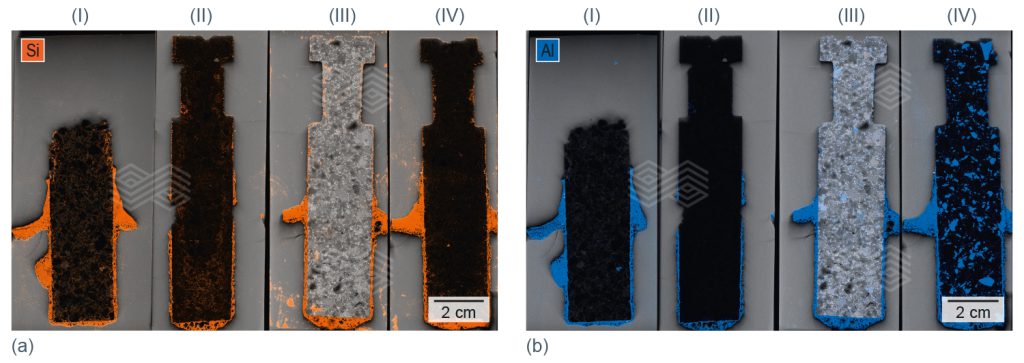 Bulletin 2025 06 Capo Tous Fig 10 251003