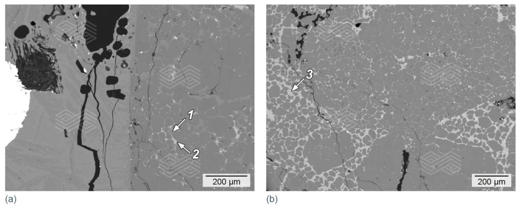 Bulletin 2025 06 Capo Tous Fig 13 251003