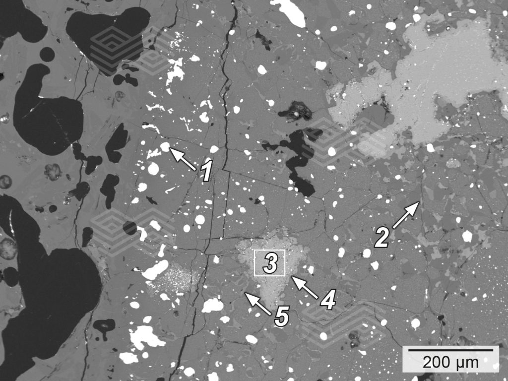 Bulletin 2025 06 Capo Tous Fig 14 251003