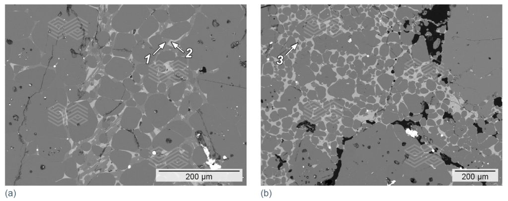 Bulletin 2025 06 Capo Tous Fig 15 251003