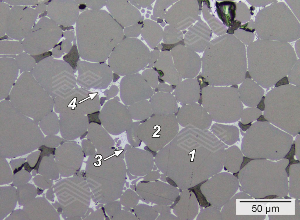 Bulletin 2025 01 Wappel Fig 01 251126