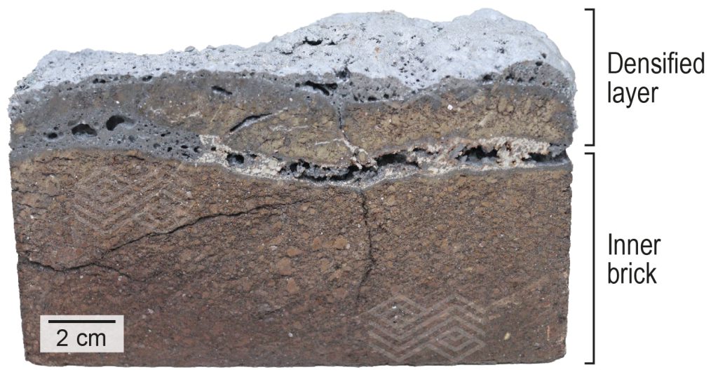 Bulletin 2025 10 Sardelli Fig 01 251104