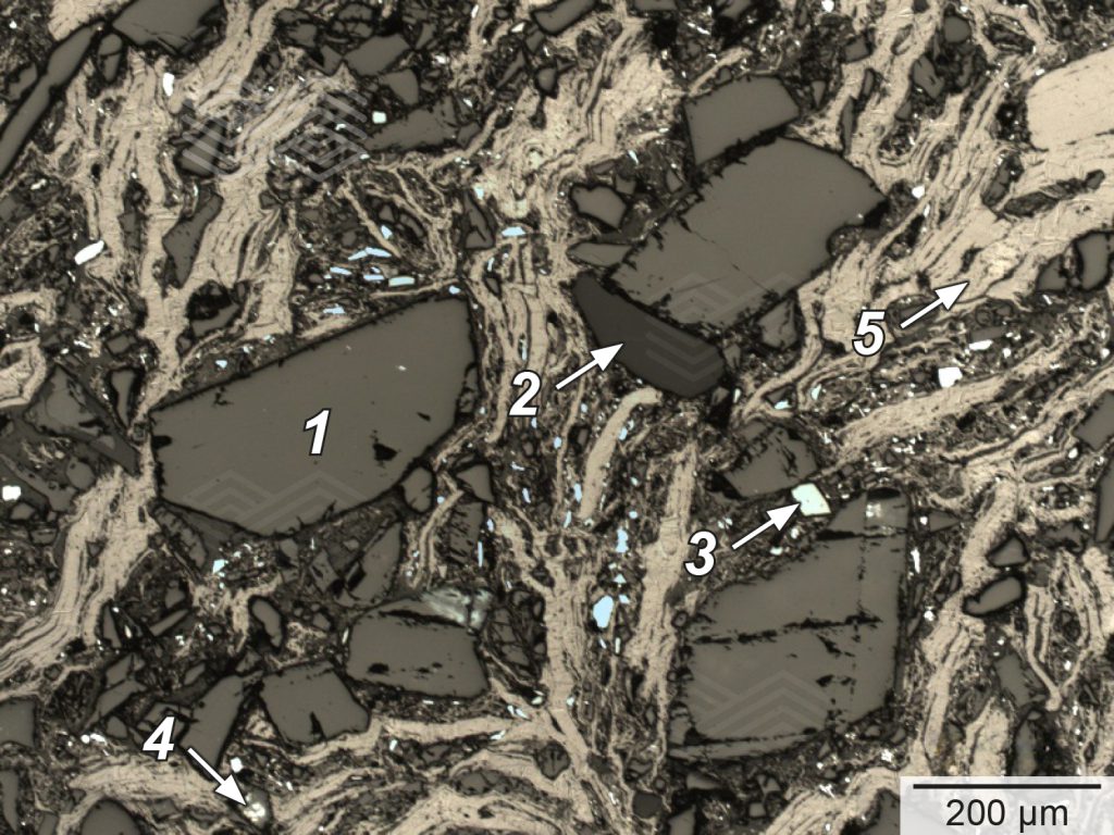 Bulletin 2025 25 King Fig 05 251121