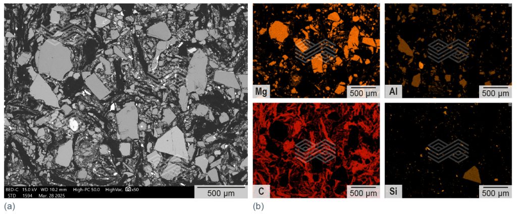 Bulletin 2025 25 King Fig 06 251121